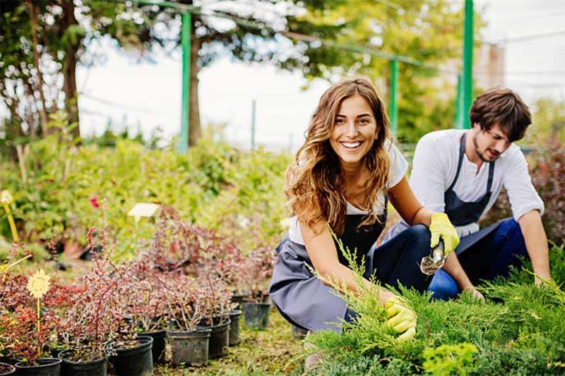 Companion-Planting  