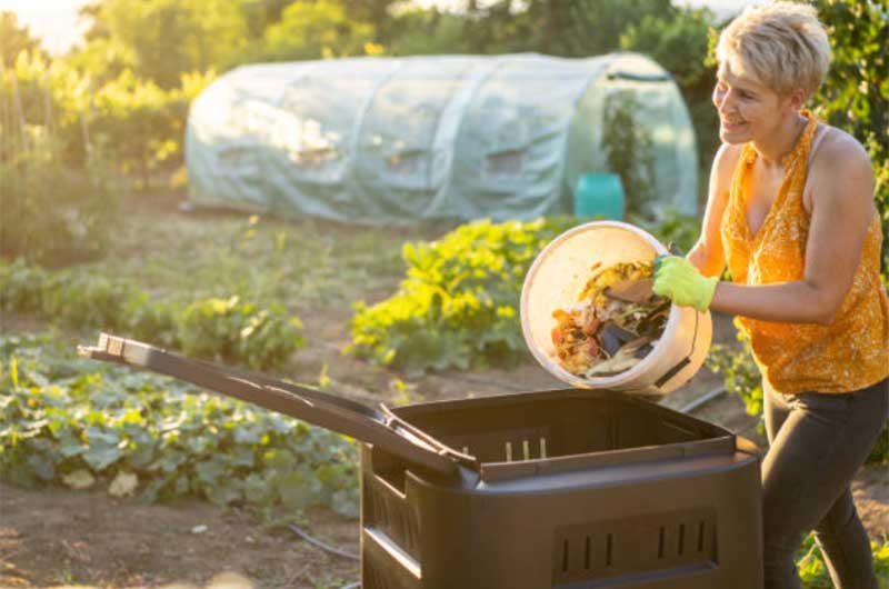 Compost-Bin-1  