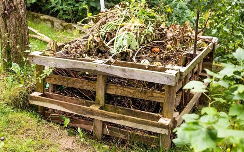 Compost-Bin  