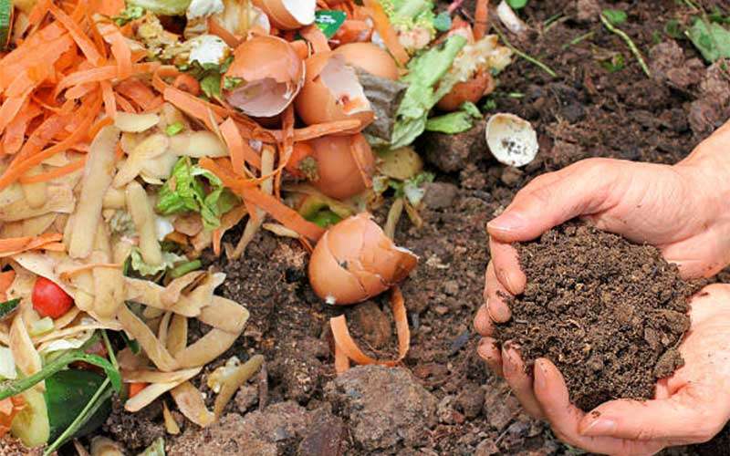 Composting  