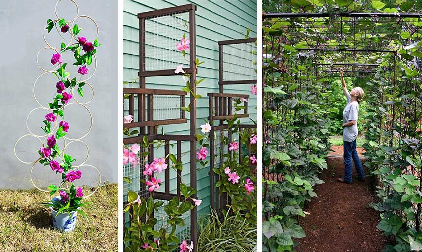 DIY-Trellis-for-Climbing-Plants  