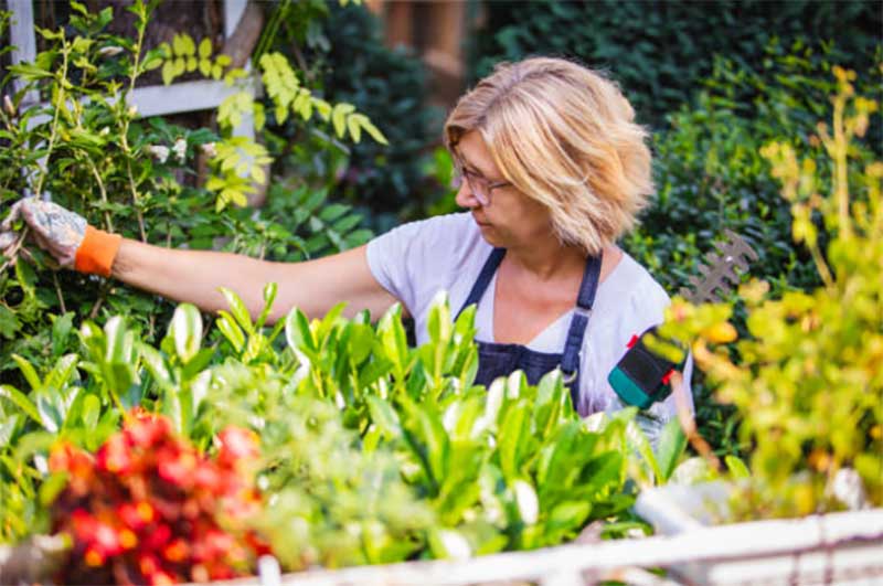 Easier-garden-Access-and-Maintenance  