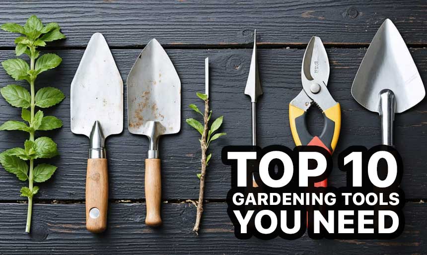 Essential-Tools-Every-Gardener-Needs  