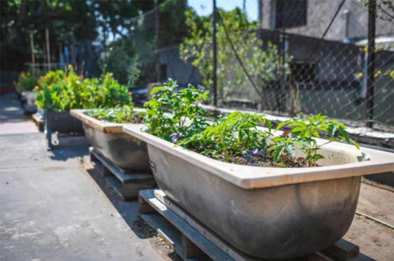 Garden-Bed-from-Pallets  