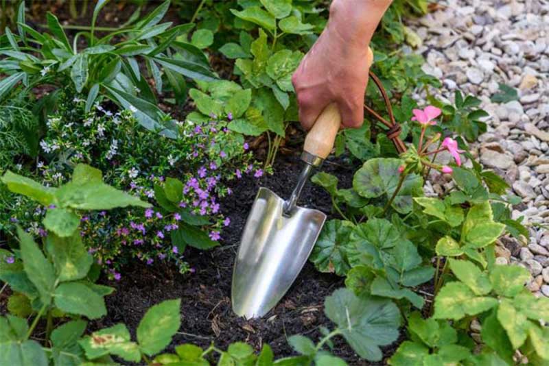 Hand-Trowel  