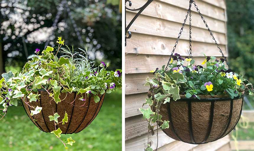 Hanging-Basket-Garden  