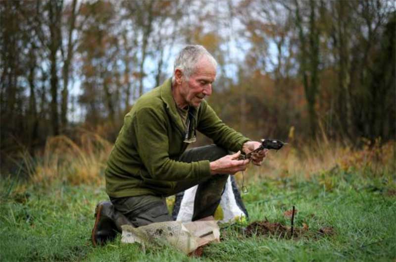 How-to-Get-Rid-of-Moles-in-Your-Yard  