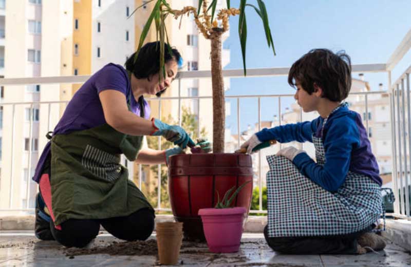 Indoor-Yucca-Plant-Care  