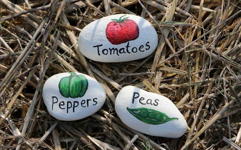 Painted-Rock-Garden-Markers  