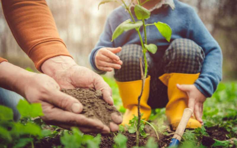 Planting-trees  