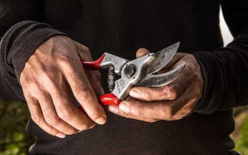 Pruning-Shears-Secateurs  