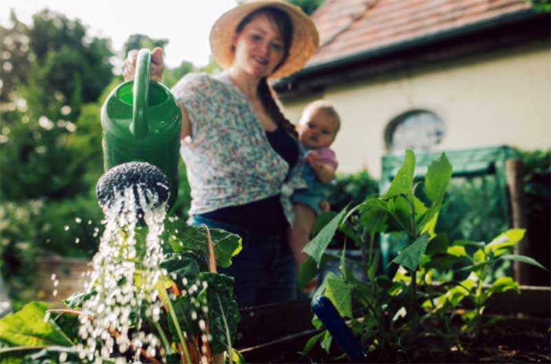 Rainwater-Harvesting-System  