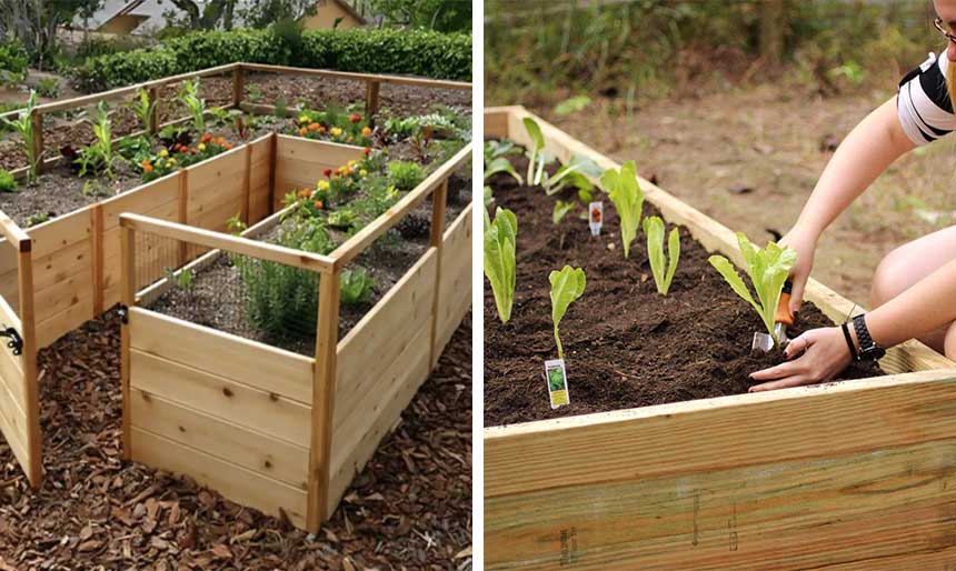 Raised-Garden-Beds  