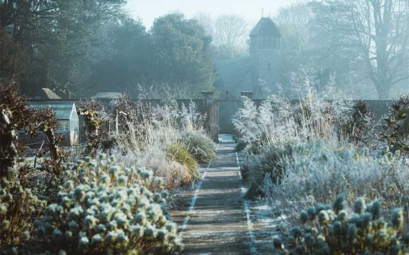 Seasonal-Gardening-Winter  