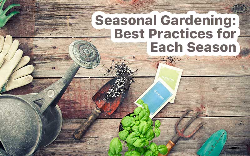 Seasonal-Gardening  