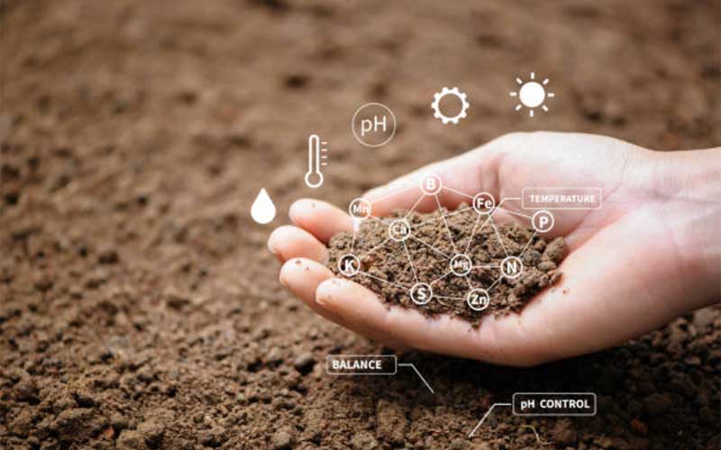 Soil-Health-Management  