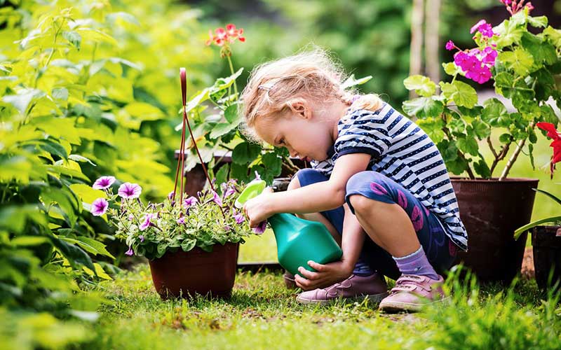 Stay-Patient-and-Keep-Learning-The-Key-to-Successful-Gardening  