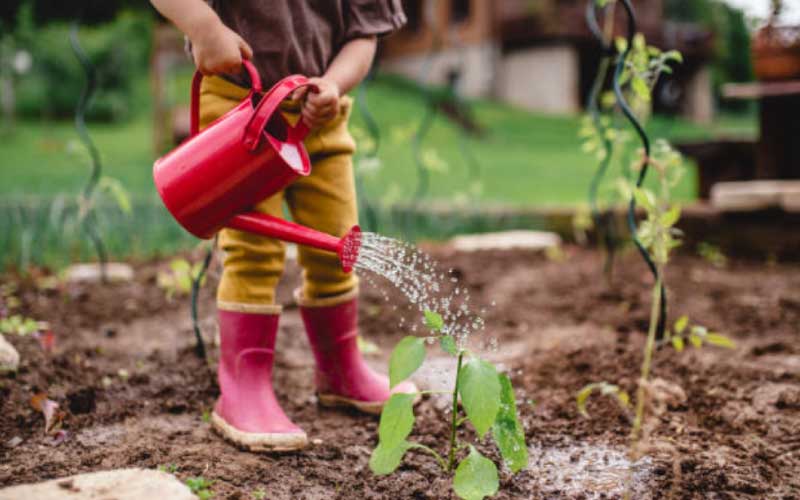 Watering-and-Irrigation  