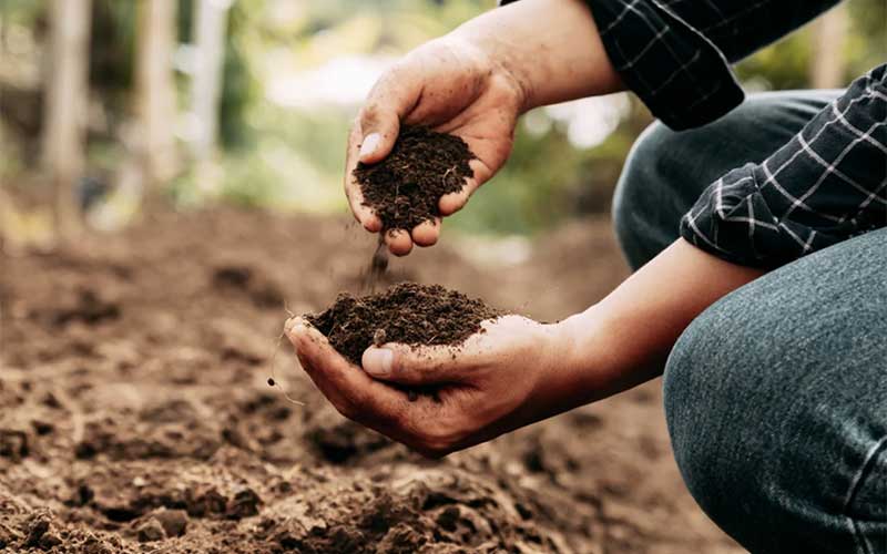 gardening-for-know-your-soil  