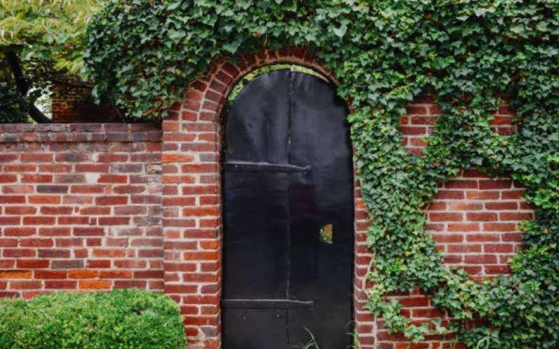 Arched-Garden-Gates  