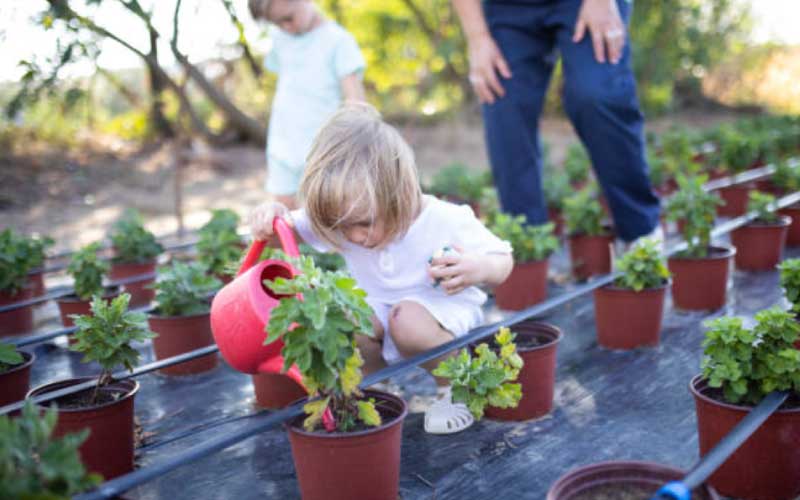 Toddler-Garden-Tools  